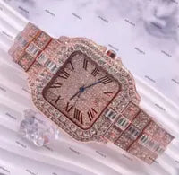 Iced Out Watch (Passes Diamond Tester)