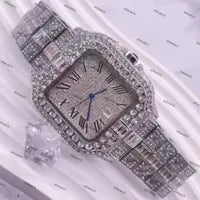 Iced Out Watch (Passes Diamond Tester)